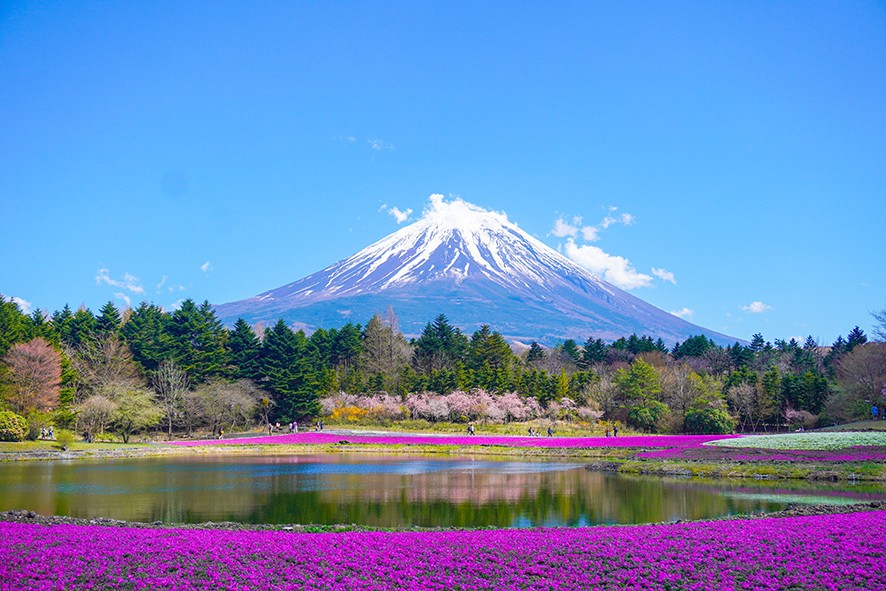 japon web